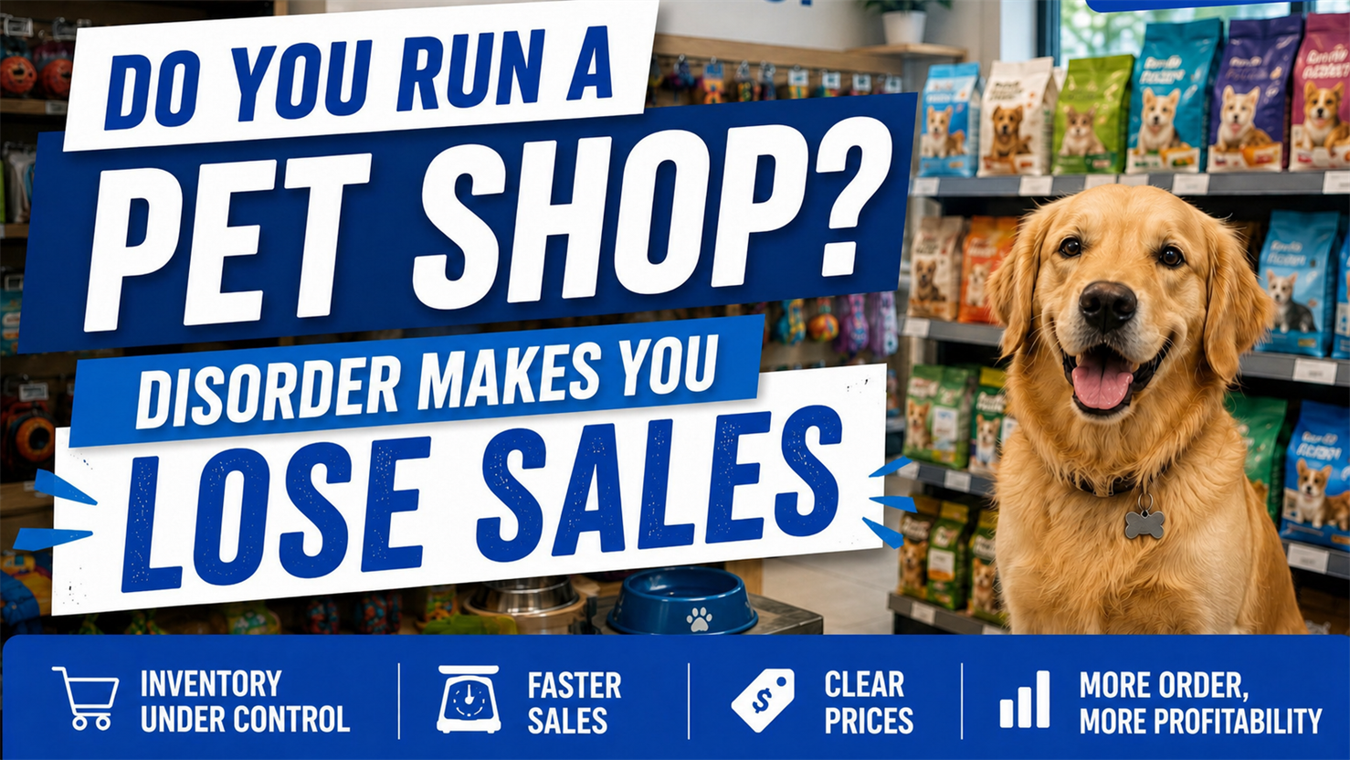 XGestion management campaign for Pet shops